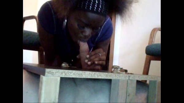 pisoteo y a. gallo blanco