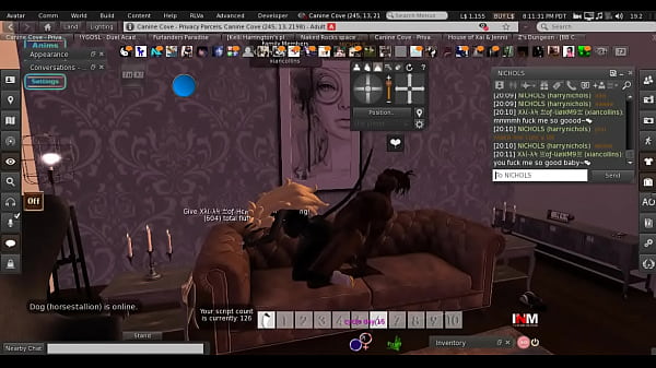First Draft Second Life Porn