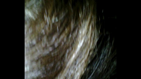 Blowjob By weird milf