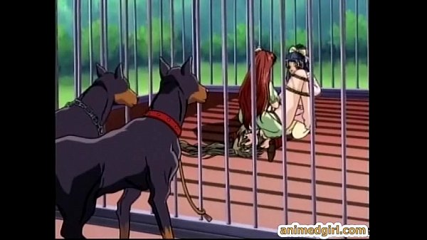 Bondage hentai se fait presser les seins et la chatte humide godée